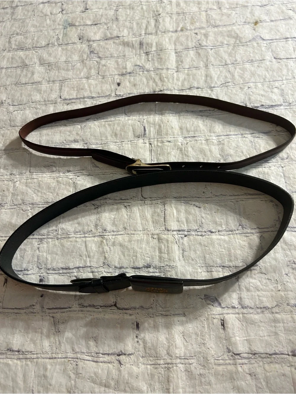 N/A fossil thin
